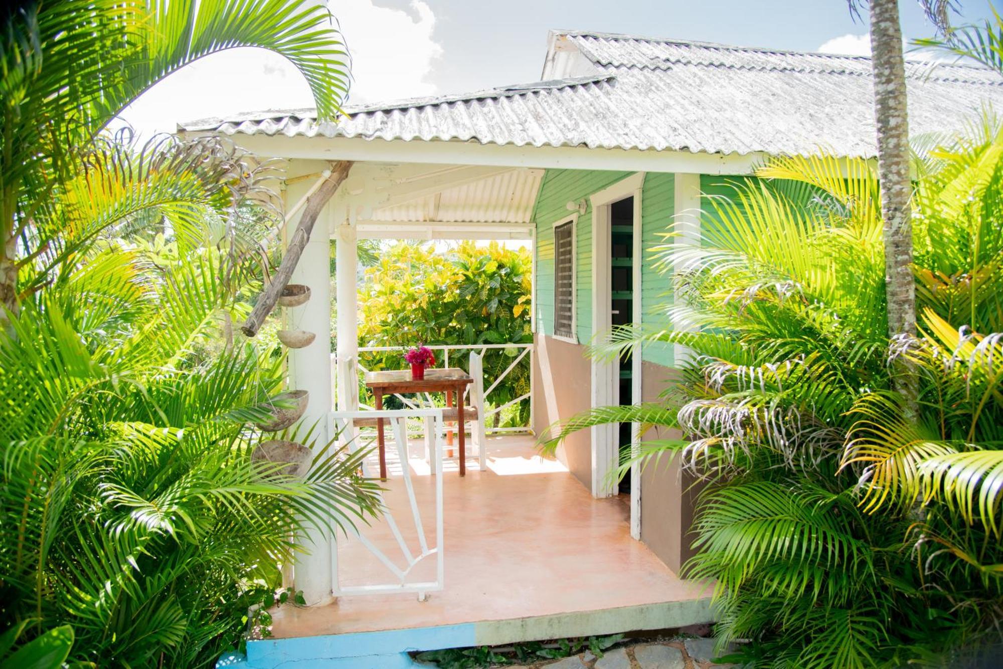 Las Mariposas Las Galeras Exterior photo