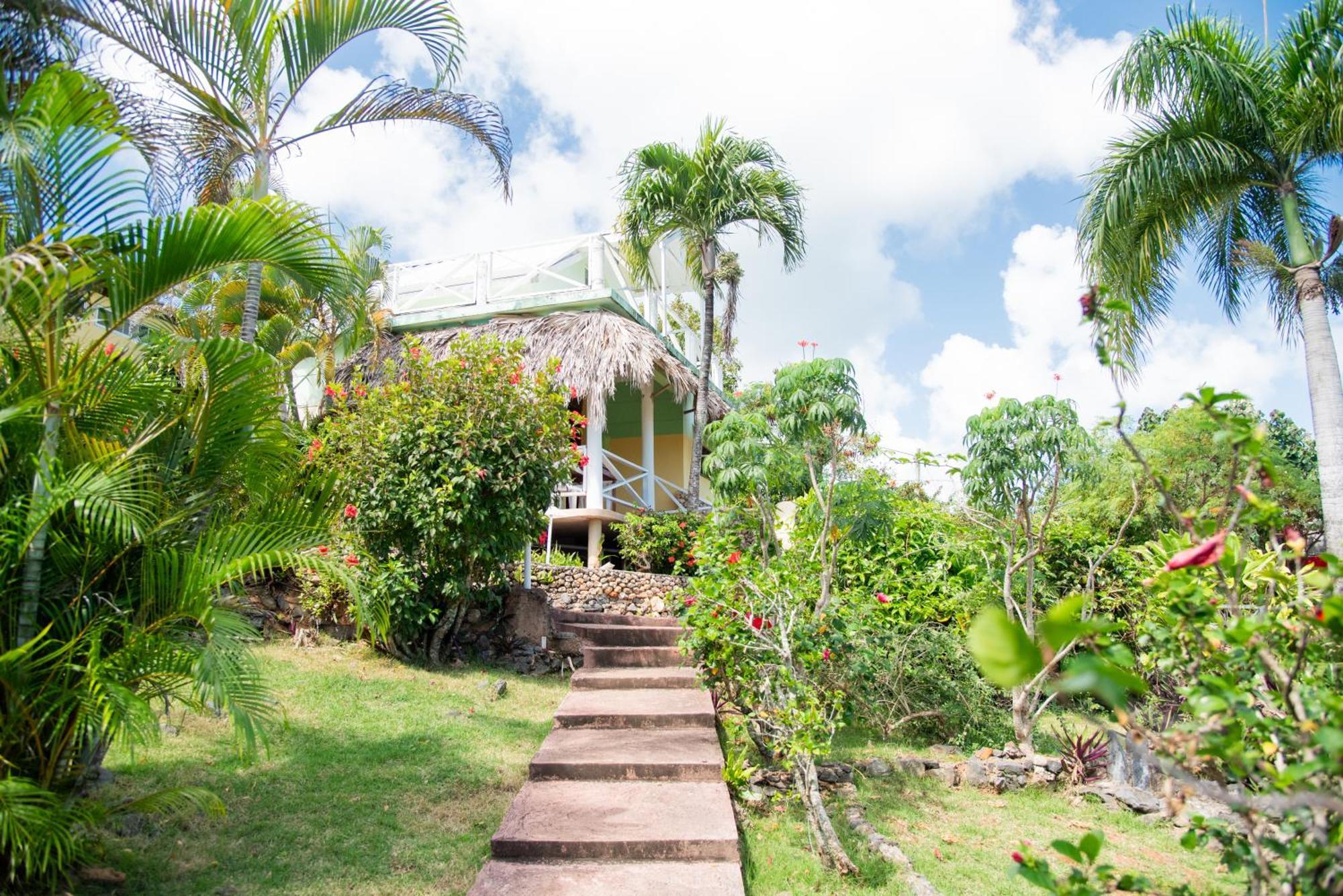 Las Mariposas Las Galeras Exterior photo